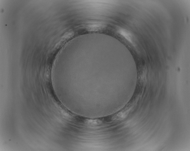 X0000089880277200706281357