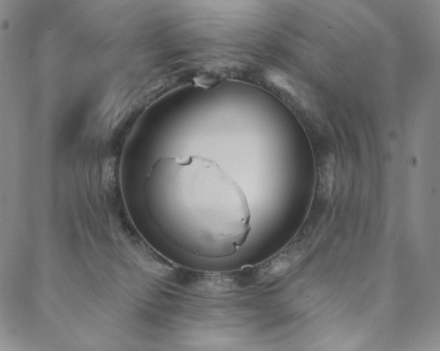 X0000089880278200706281357