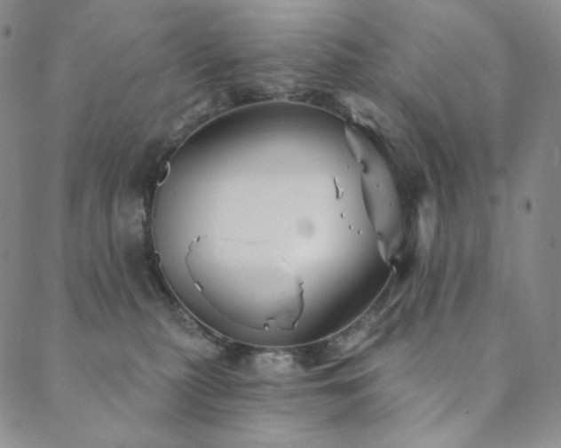 X0000089880279200706281357