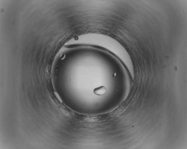 X0000089880280200706281357