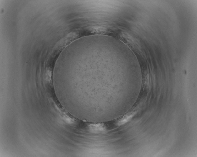 X0000089880281200706281357