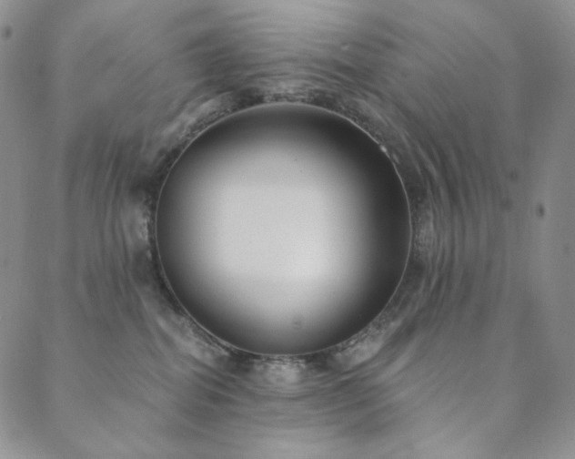 X0000089880282200706281357