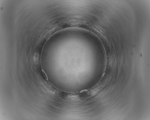 X0000089880283200706281357