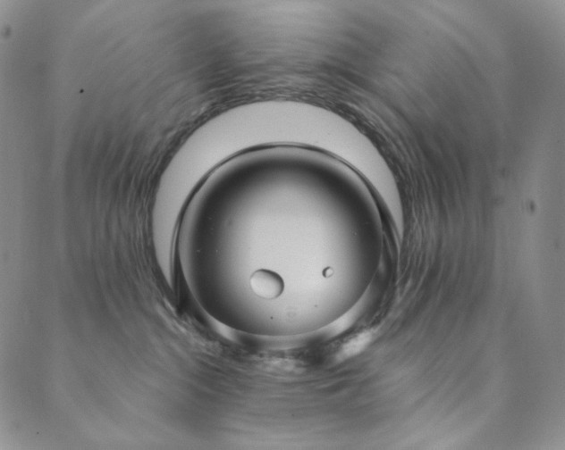 X0000089880284200706281357