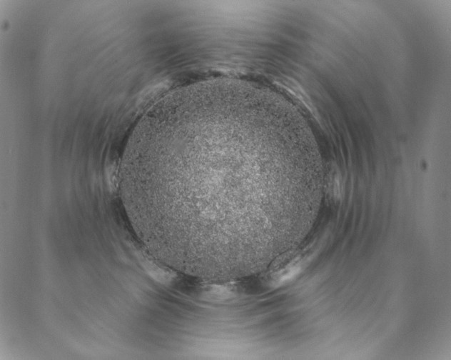 X0000089880285200706281357