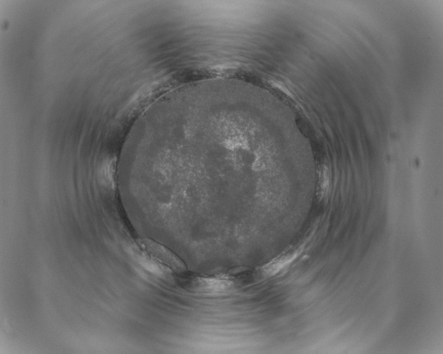 X0000089880286200706281357