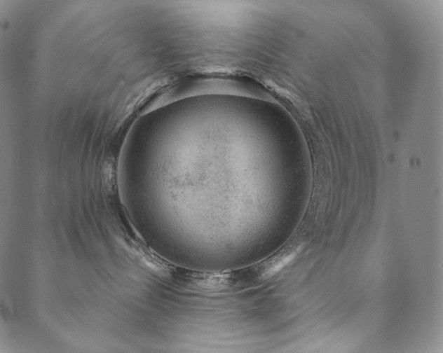 X0000089880288200706281357