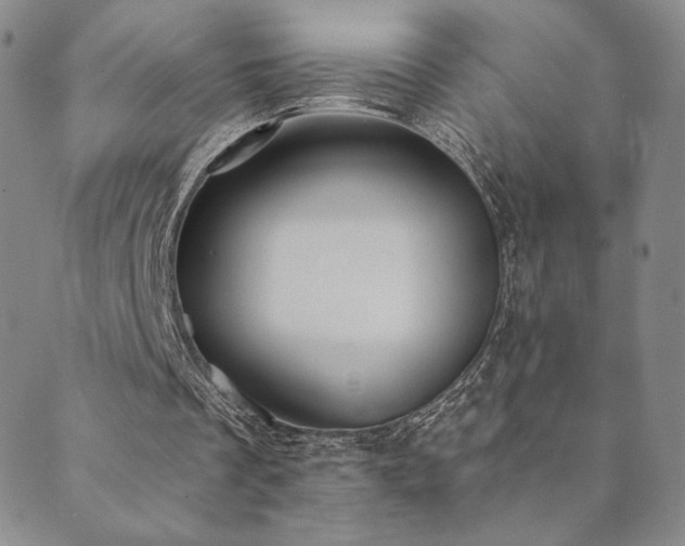 X0000089880289200706281356