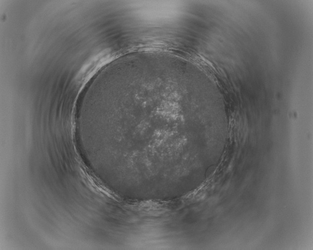 X0000089880290200706281356