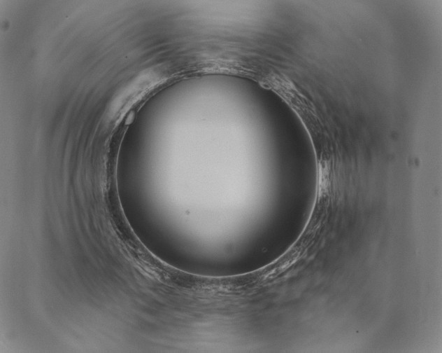 X0000089880291200706281356