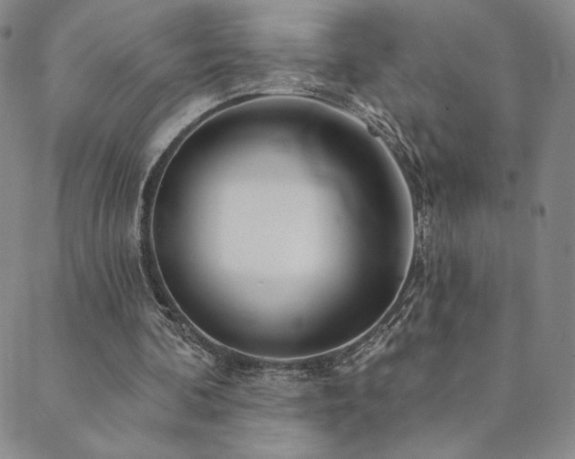 X0000089880292200706281356