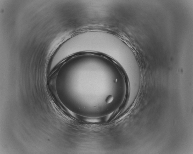 X0000089880293200706281356