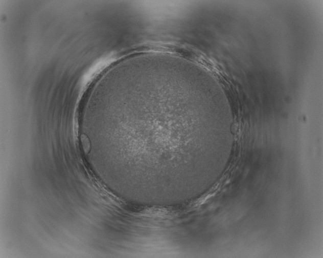 X0000089880294200706281356