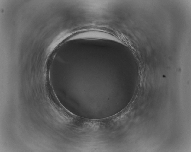 X0000089880295200706281356