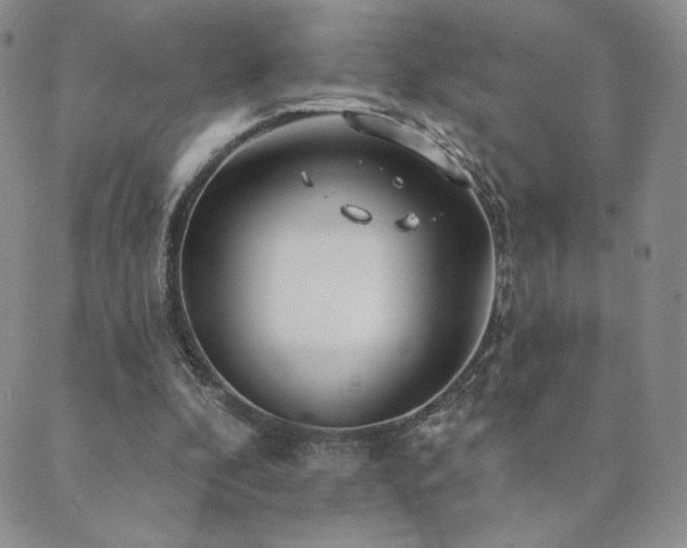 X0000089880296200706281356