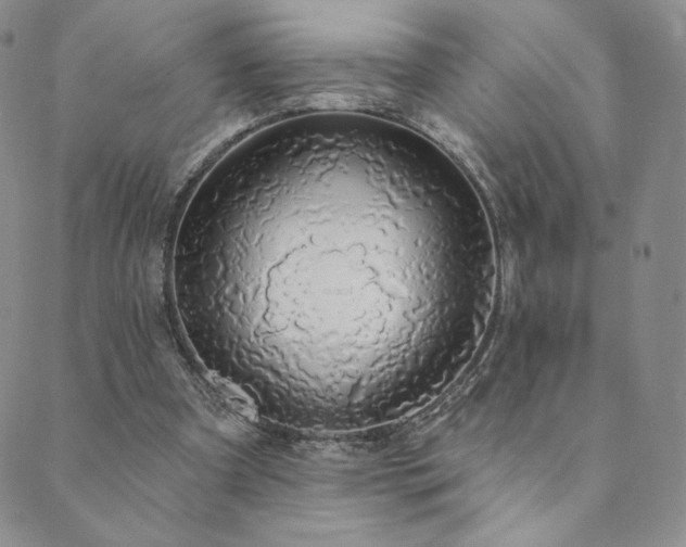 X0000089880297200706281356