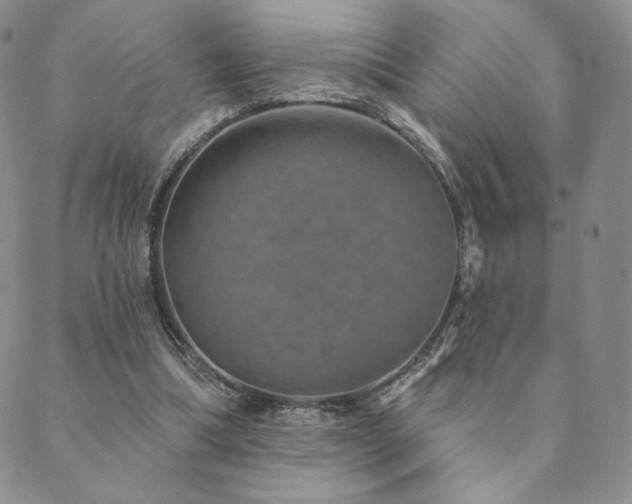 X0000089880298200706281356