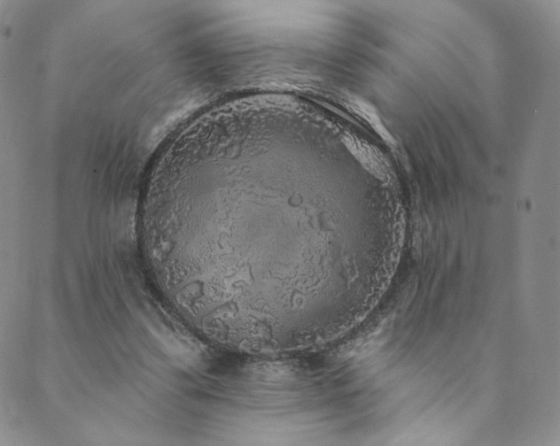 X0000089880299200706281356