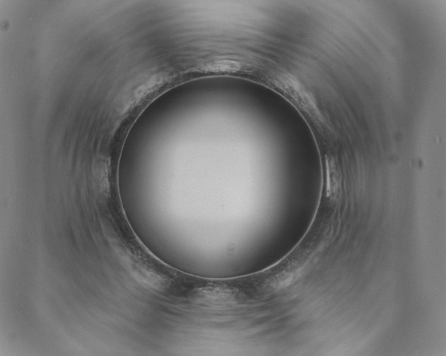 X0000089880300200706281356