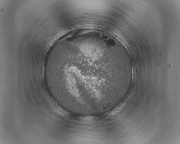 X0000089880301200706281356