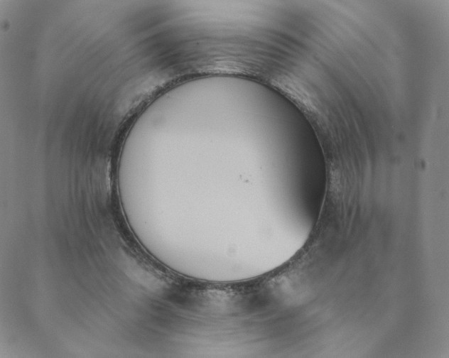 X0000089880302200706281356