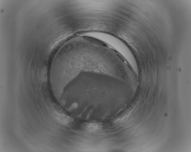 X0000089880303200706281356