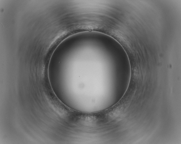 X0000089880304200706281356