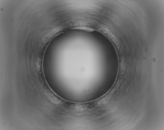 X0000089880305200706281356