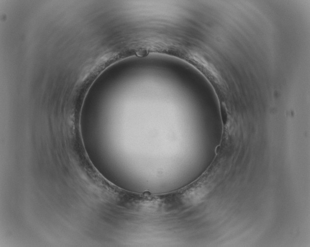 X0000089880306200706281356