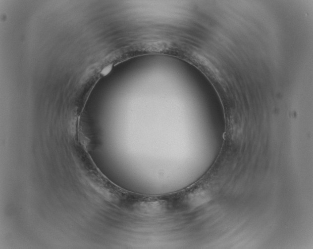 X0000089880307200706281356