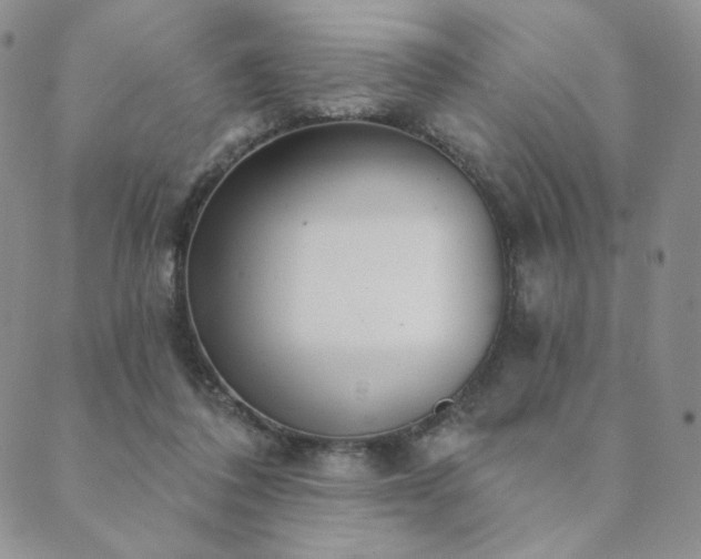 X0000089880308200706281356