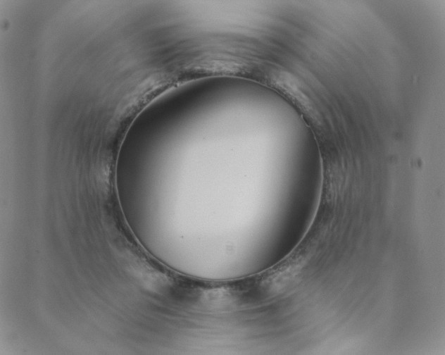 X0000089880309200706281356