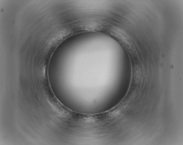 X0000089880310200706281356