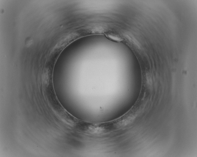 X0000089880311200706281356