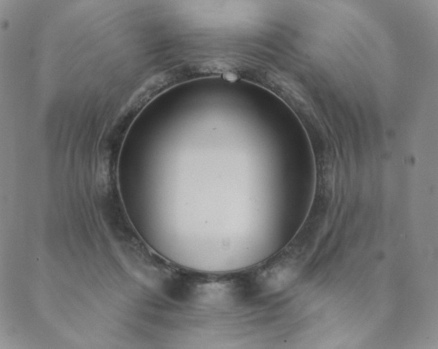 X0000089880312200706281356