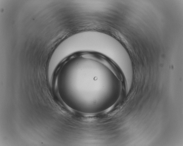 X0000089880313200706281356