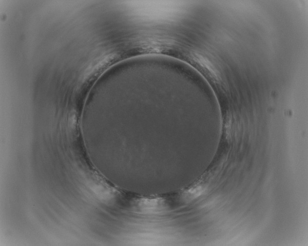 X0000089880314200706281356