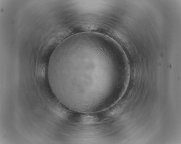 X0000089880315200706281356