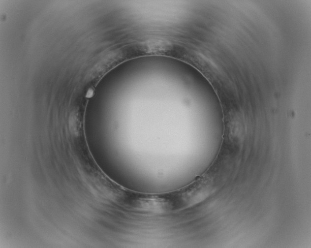 X0000089880316200706281356