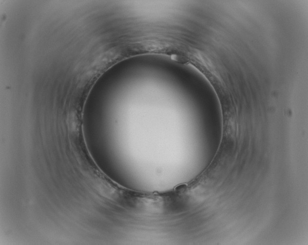 X0000089880317200706281356