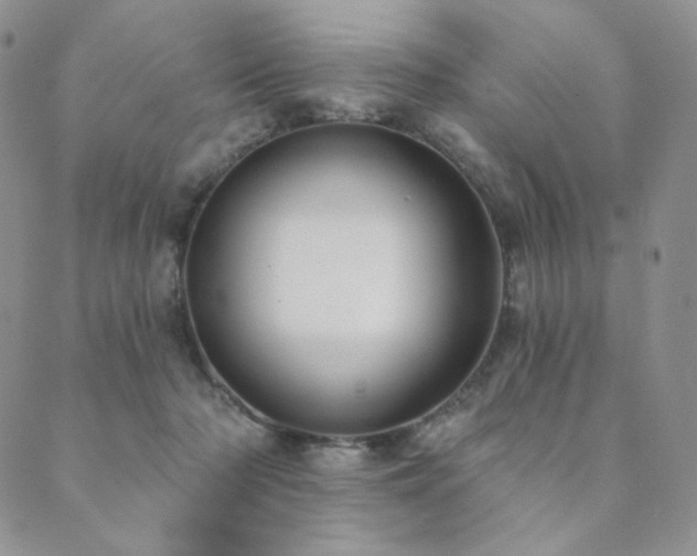 X0000089880318200706281356