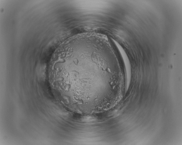 X0000089880319200706281356