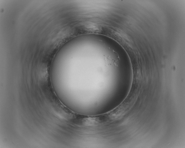 X0000089880320200706281356