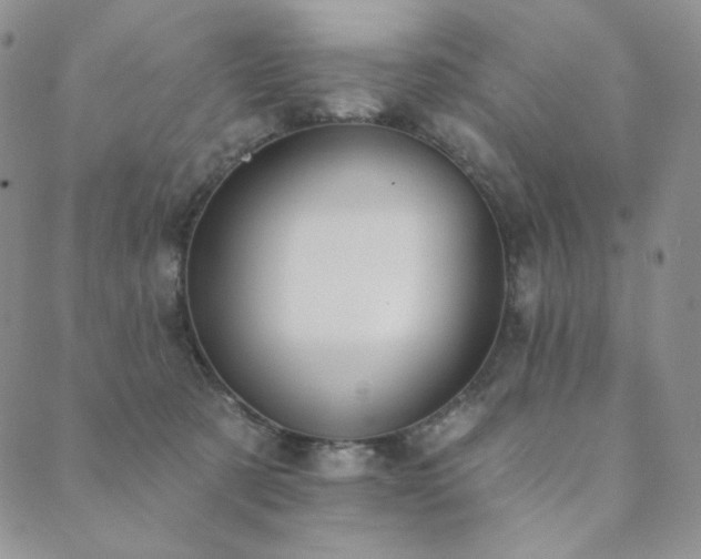 X0000089880321200706281356