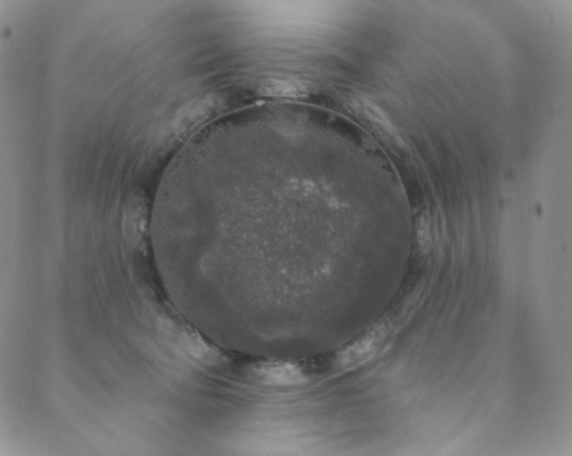 X0000089880322200706281356