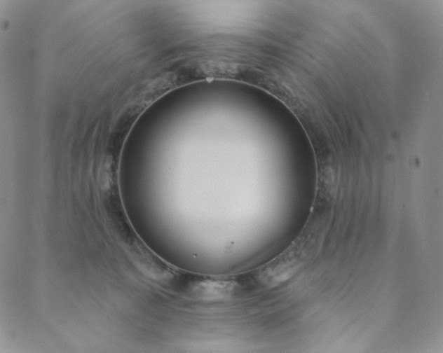 X0000089880323200706281356