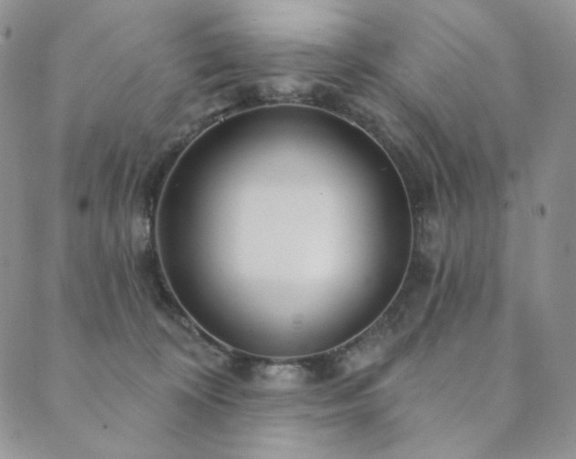 X0000089880324200706281356