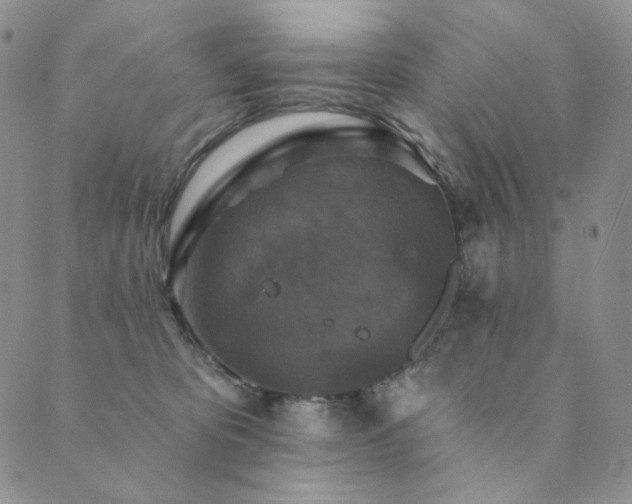 X0000089880325200706281356