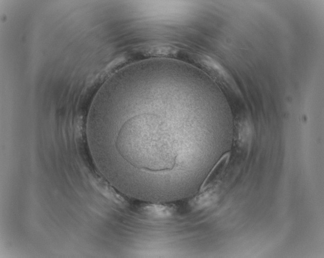 X0000089880326200706281356