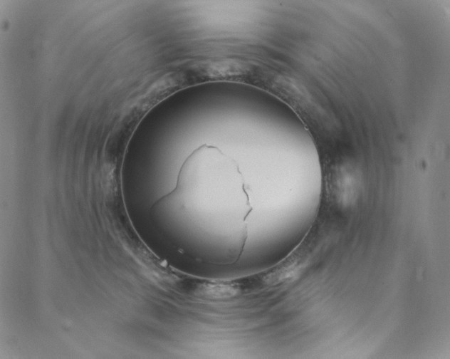 X0000089880327200706281356